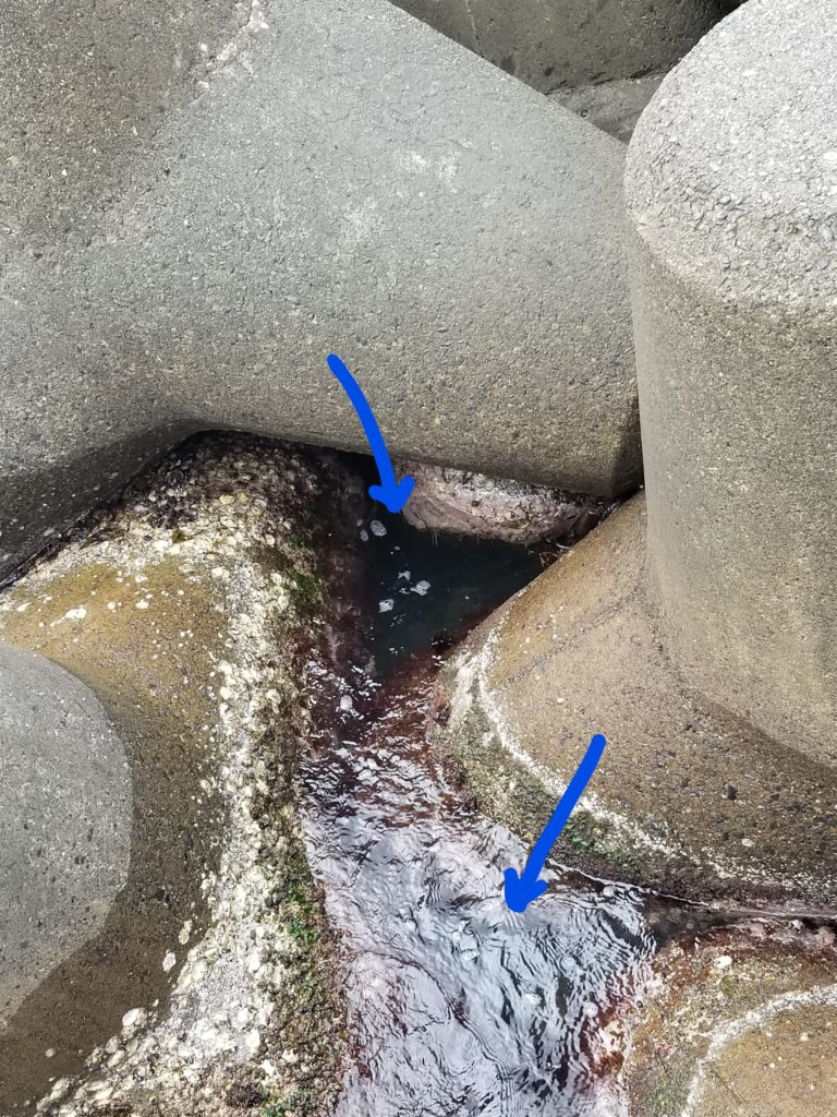 初心者でも簡単に釣れる ルアーフィッシングは根魚からがおススメ タミカミブログ 初心者でも簡単に釣れる ルアーフィッシングは根魚からがおススメ タミカミブログ