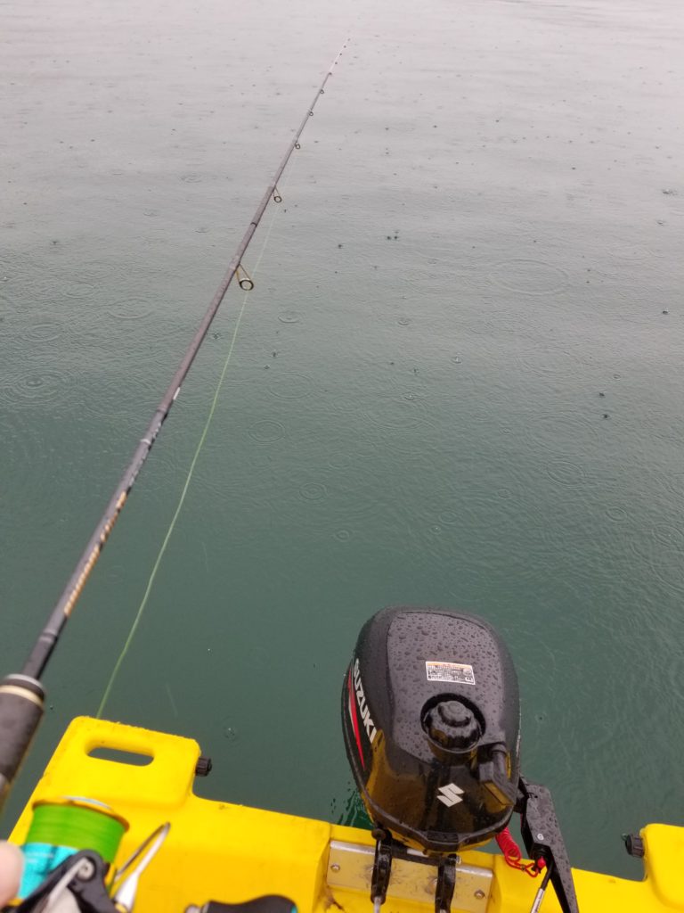 雨の日でもアオリイカは釣れるのか ムラムラチェリー タミカミブログ