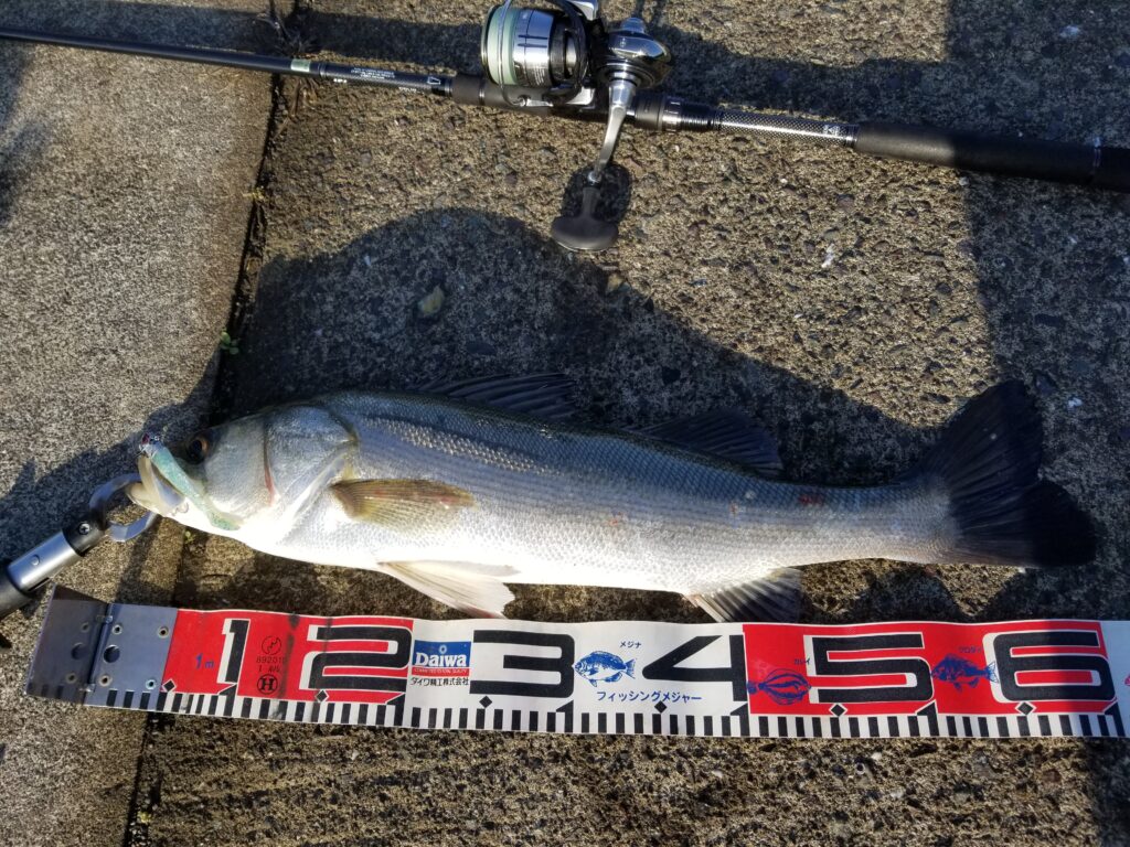 コアマンvjって実際釣れるの ワーム外れ対策