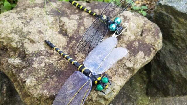 おにやんま君】魚釣り/キャンプで虫よけの効果は？？おにやんま君比較｜タミカミブログ