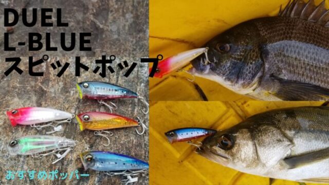 デュエル L ブルー スピットポップはシーバスにも効果的 価格も安心 夏のトップゲームはこれ タミカミブログ