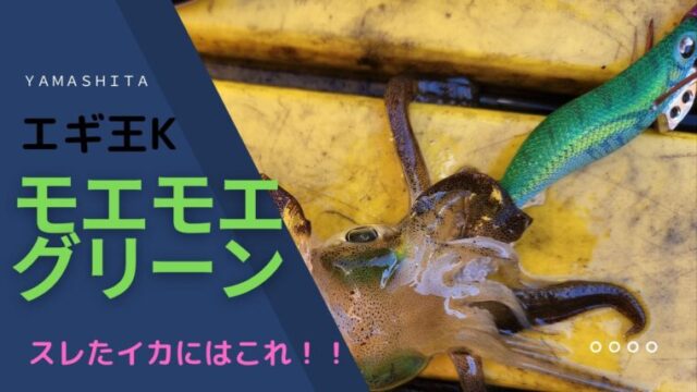 エギ王K】新色カラー！2021年エギ王K490グロー/釣れるエギ｜タミカミブログ