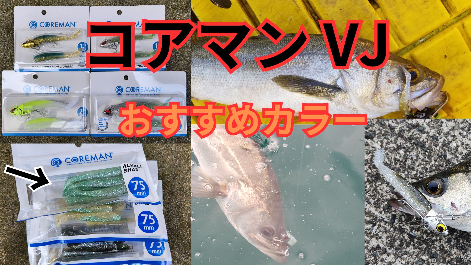 コアマンVJ おすすめカラー（人気カラー）はこれだ！ワーム